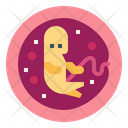پیش‌نمایش فایل embryo-7071983 از پک مادرانه و بارداری