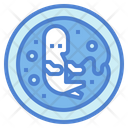 پیش‌نمایش فایل embryo-7072026 از پک مادرانه و بارداری