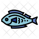 پیش‌نمایش فایل fish-7072401 از پک ماهیگیری