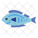پیش‌نمایش فایل fish-7072473 از پک ماهیگیری