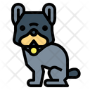 پیش‌نمایش فایل dog-7072596 از پک دوستدار حیوانات خانگی