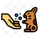 پیش‌نمایش فایل hamster-7072603 از پک دوستدار حیوانات خانگی