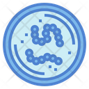پیش‌نمایش فایل streptococci-7075824 از پک ویروس