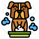 پیش‌نمایش فایل dog-7077464 از پک شستن دست‌ها