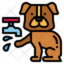 پیش‌نمایش فایل dog-7077465 از پک شستن دست‌ها