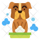 پیش‌نمایش فایل dog-7077566 از پک شستن دست‌ها