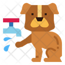 پیش‌نمایش فایل dog-7077567 از پک شستن دست‌ها