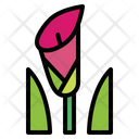 پیش‌نمایش فایل arrum-lily-7079305 از پک گل‌فروشی