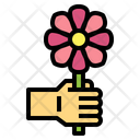 پیش‌نمایش فایل flower-7079324 از پک گل‌فروشی