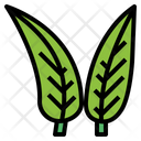 پیش‌نمایش فایل greenery-7079325 از پک گل‌فروشی