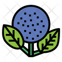 پیش‌نمایش فایل hydrangea-7079326 از پک گل‌فروشی