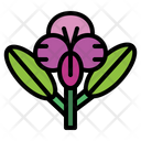 پیش‌نمایش فایل orchid-7079329 از پک گل‌فروشی