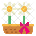 پیش‌نمایش فایل daisy-7079390 از پک گل‌فروشی