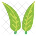 پیش‌نمایش فایل greenery-7079397 از پک گل‌فروشی