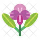 پیش‌نمایش فایل orchid-7079401 از پک گل‌فروشی