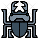 پیش‌نمایش فایل beetle-7086348 از پک Insect Collecting