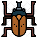 پیش‌نمایش فایل beetle-7086349 از پک Insect Collecting