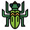 پیش‌نمایش فایل beetle-7086350 از پک Insect Collecting