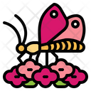 پیش‌نمایش فایل butterfly-7086360 از پک Insect Collecting