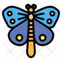 پیش‌نمایش فایل butterfly-7086361 از پک Insect Collecting
