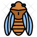 پیش‌نمایش فایل cicada-7086370 از پک Insect Collecting
