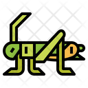 پیش‌نمایش فایل cricket-7086371 از پک Insect Collecting
