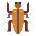 پیش‌نمایش فایل beetle-7086419 از پک Insect Collecting