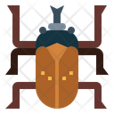 پیش‌نمایش فایل beetle-7086421 از پک Insect Collecting