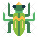 پیش‌نمایش فایل beetle-7086422 از پک Insect Collecting