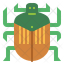 پیش‌نمایش فایل beetle-7086423 از پک Insect Collecting