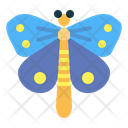 پیش‌نمایش فایل butterfly-7086433 از پک Insect Collecting