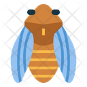 پیش‌نمایش فایل cicada-7086442 از پک Insect Collecting