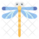 پیش‌نمایش فایل dragonfly-7086444 از پک Insect Collecting