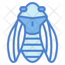 پیش‌نمایش فایل cicada-7086478 از پک Insect Collecting