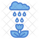 پیش‌نمایش فایل rainy-7086648 از پک فصل باران
