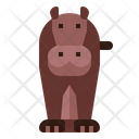 پیش‌نمایش فایل hippopotamus-7088739 از پک باغ وحش