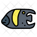 پیش‌نمایش فایل angelfish-7088799 از پک آکواریوم