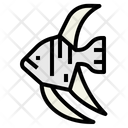 پیش‌نمایش فایل angelfish-7088800 از پک آکواریوم