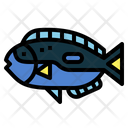 پیش‌نمایش فایل blue-tang-7088804 از پک آکواریوم