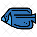 پیش‌نمایش فایل emperor-angelfish-7088810 از پک آکواریوم