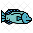پیش‌نمایش فایل humphead-wrasse-7088816 از پک آکواریوم