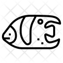 پیش‌نمایش فایل angelfish-7088835 از پک آکواریوم