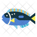 پیش‌نمایش فایل blue-tang-7088876 از پک آکواریوم