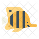 پیش‌نمایش فایل butterflyfish-7088877 از پک آکواریوم