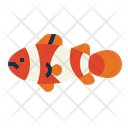 پیش‌نمایش فایل clownfish-7088879 از پک آکواریوم