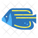 پیش‌نمایش فایل emperor-angelfish-7088882 از پک آکواریوم