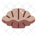 پیش‌نمایش فایل giant-clam-7088887 از پک آکواریوم