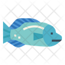 پیش‌نمایش فایل humphead-wrasse-7088888 از پک آکواریوم