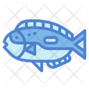 پیش‌نمایش فایل blue-tang-7088912 از پک آکواریوم