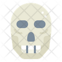پیش‌نمایش فایل skull-7089048 از پک Dead